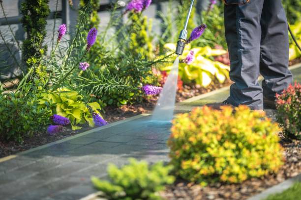 Best Spring Cleaning  in Collinsville, CT